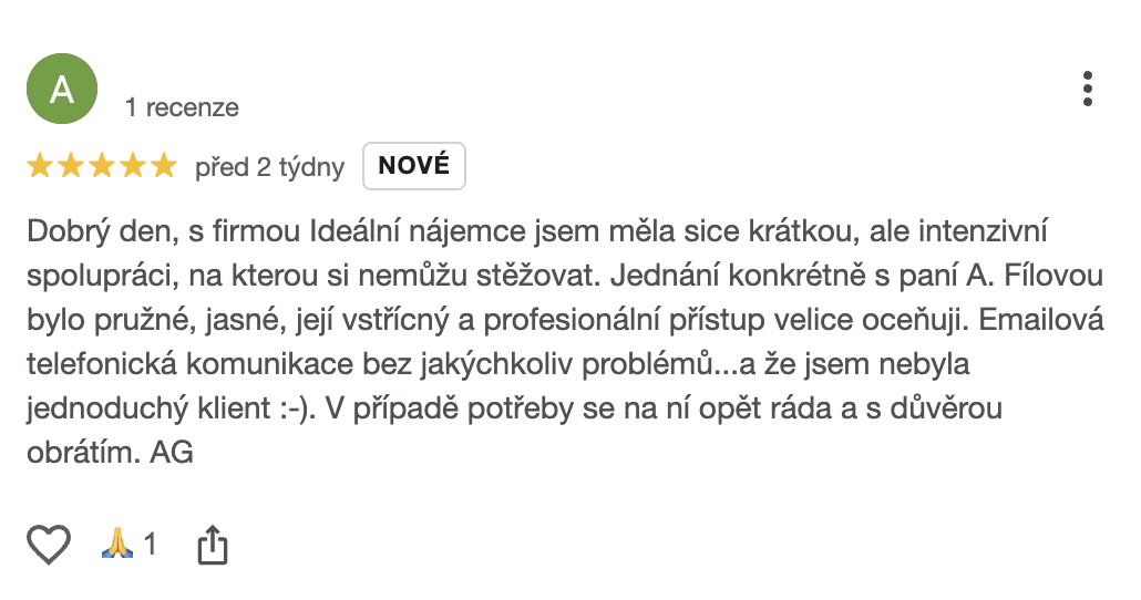 Nejnovější pozitivní recenze – Ideální nájemce (screenshot)
